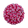 Deep Purple Roses (50 Stems) Z865888