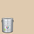 Satin Interior Paint 1 Gallon S17646