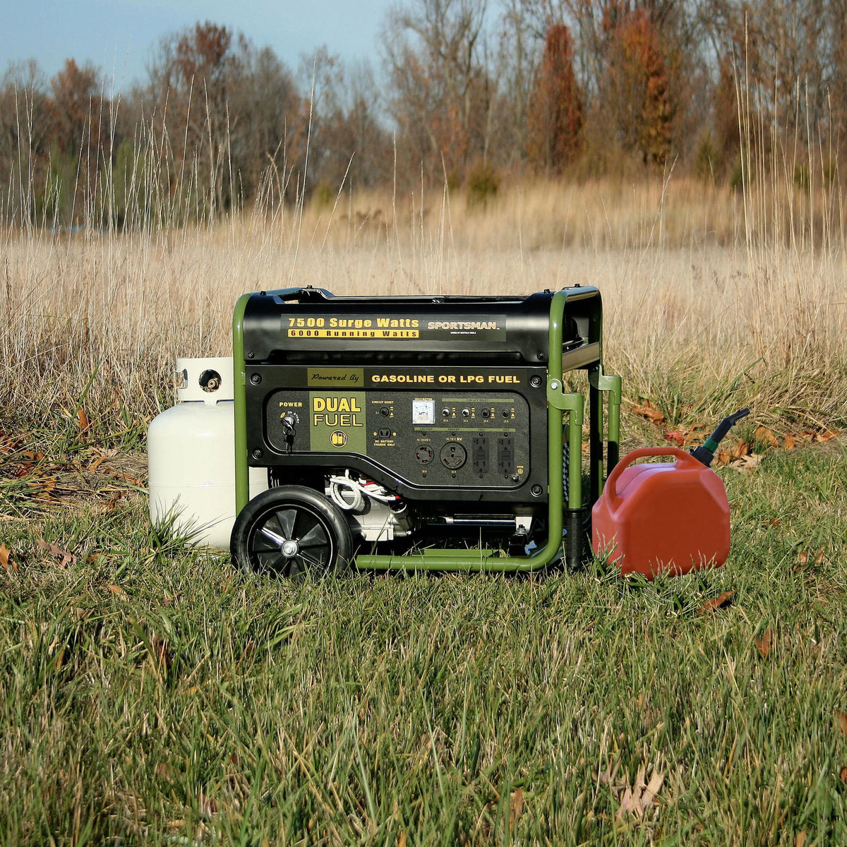 7500 Watts Dual Fuel Portable Generator L737