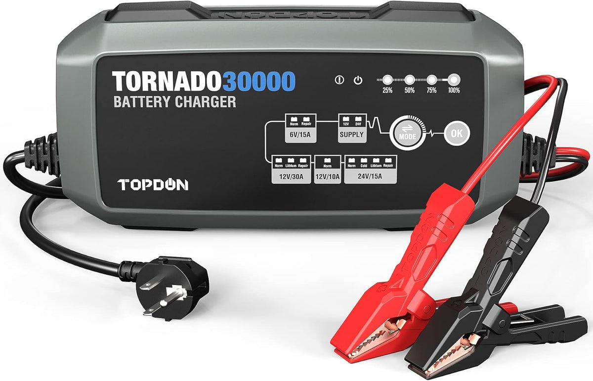 30 Amp Automotive Battery Charger C79393