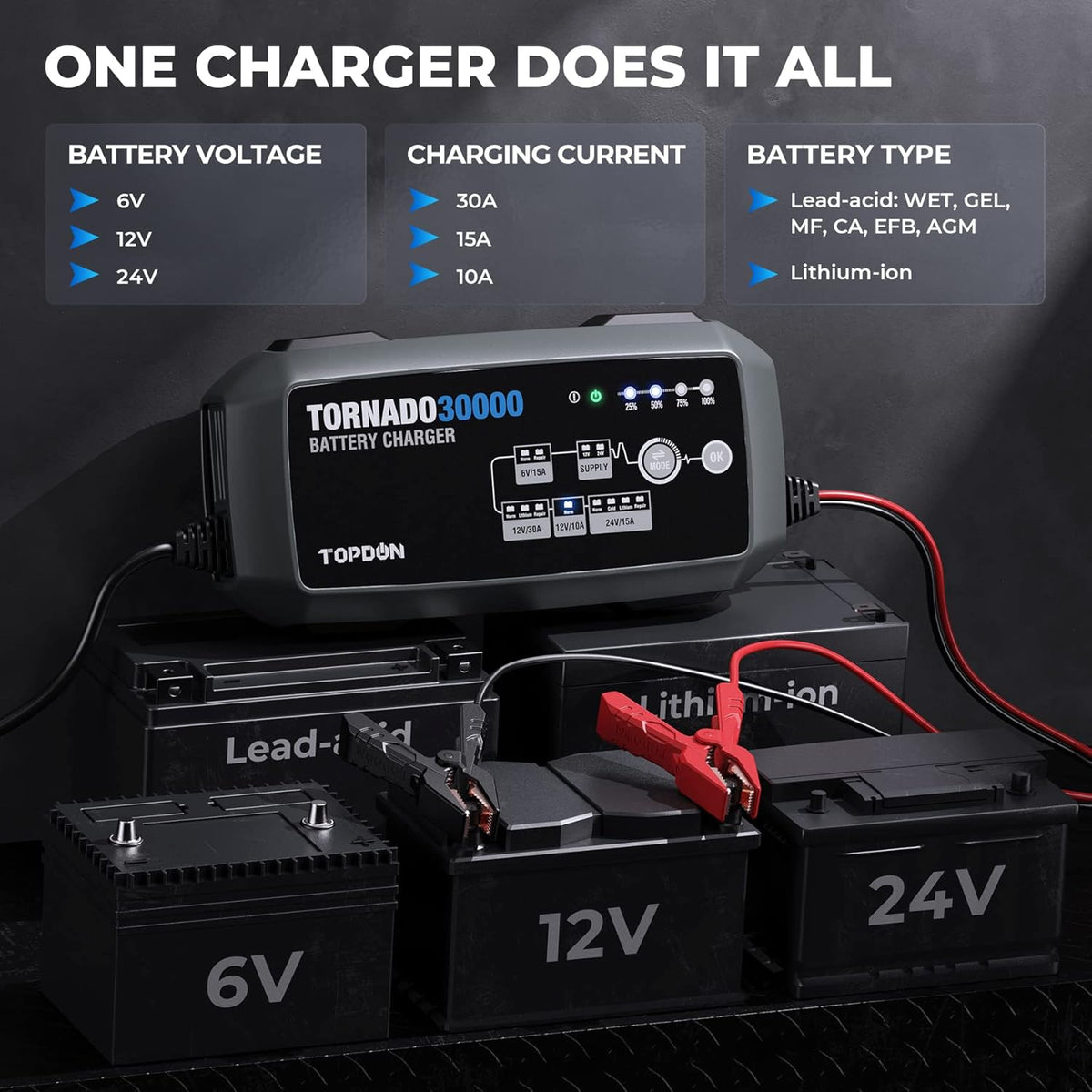 30 Amp Automotive Battery Charger C79393