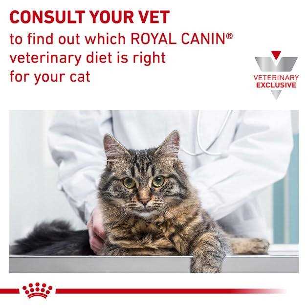 Adult Cat Weight Management Loaf in Sauce Wet Food M318878