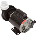 Pump, 1/15hp, 115v/230v P1861