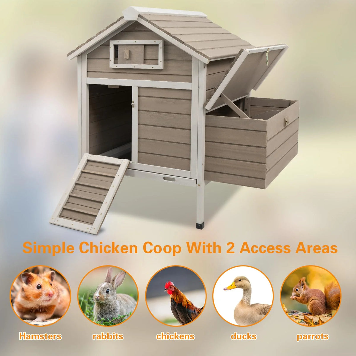 Grey Wooden Chicken Coop with Nesting Box and Ramp W786