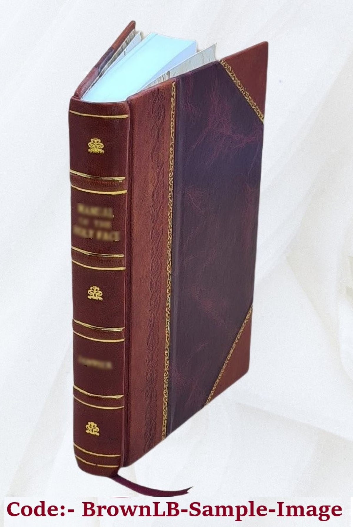 Leather Bound Book N78711