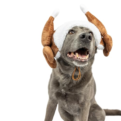 Antler Buffalo Check Pet Hat Z550674