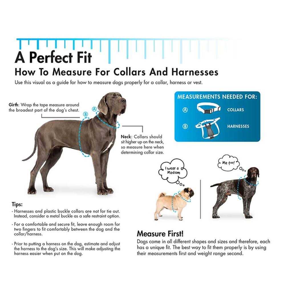 Nylon Pet Collar H552404