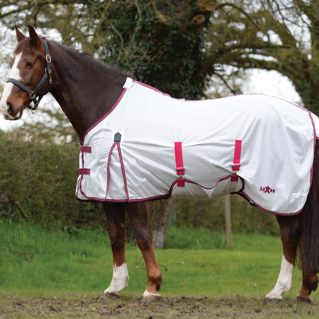 Mesh Belly Wrap Standard Neck V8170