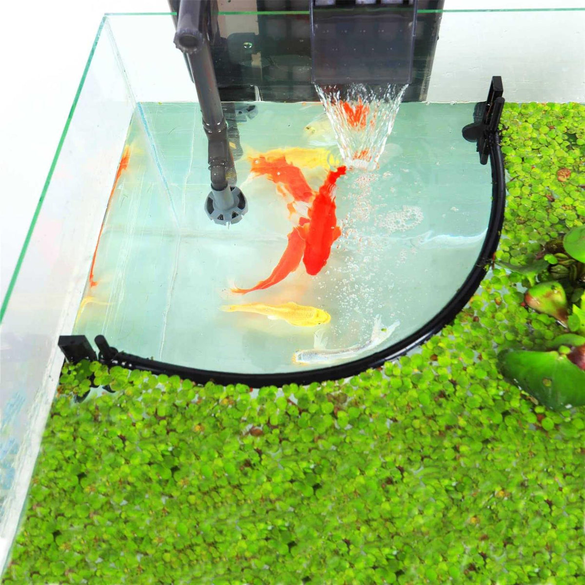 Aquarium Floating Plant Corral P2259