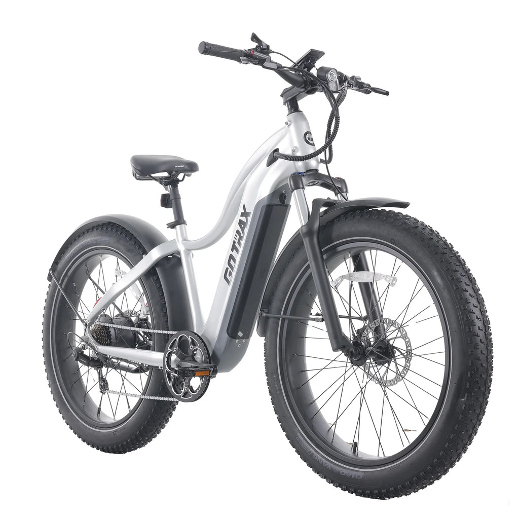 Silver 750W 48V 26" x 4" Fat Tire Electric Mountain Bike G457363