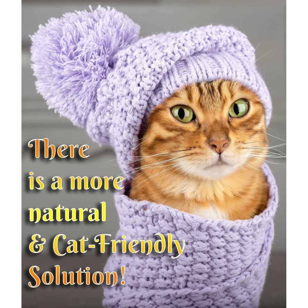 Cat Dandruff Care Spray W9987