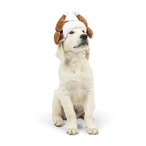 Antler Buffalo Check Pet Hat Z550674