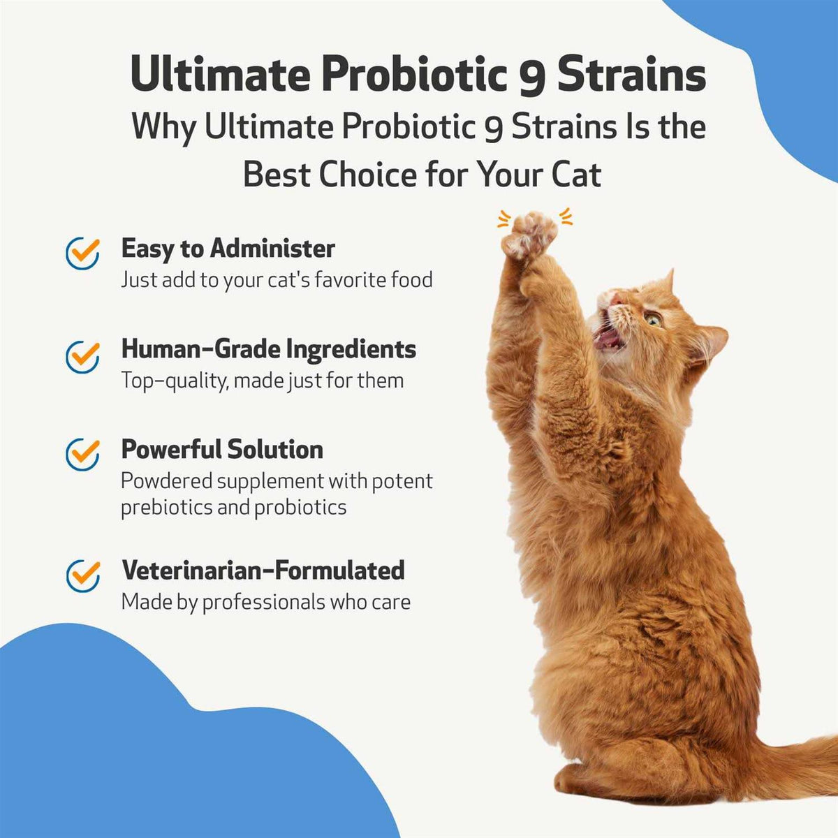 Probiotic 9 Strains for Dogs & Cats Q705612
