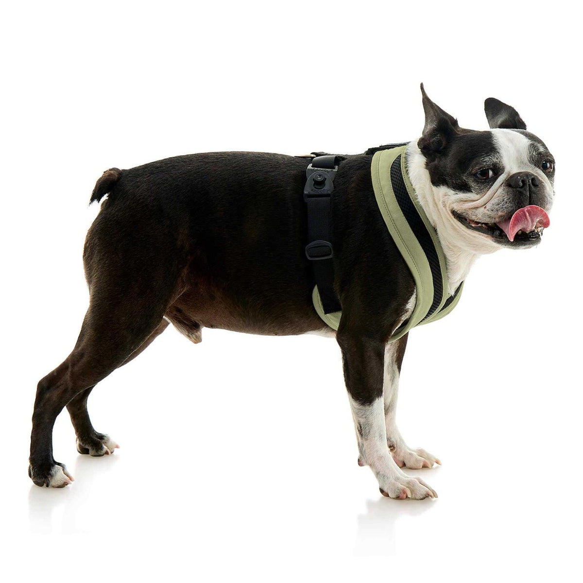 Dog Harness F46035