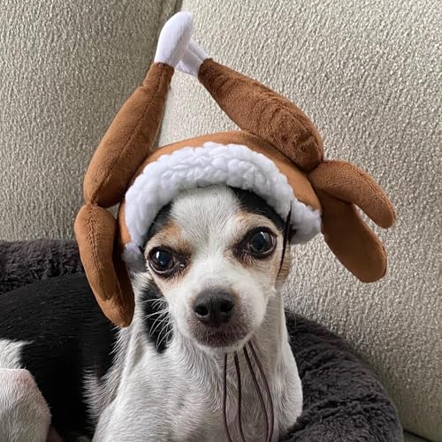 Antler Buffalo Check Pet Hat Z550674