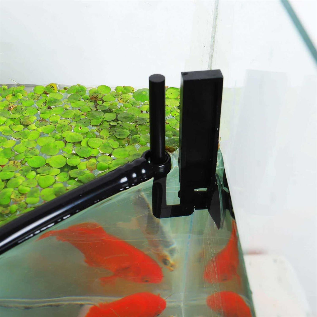 Aquarium Floating Plant Corral P2259
