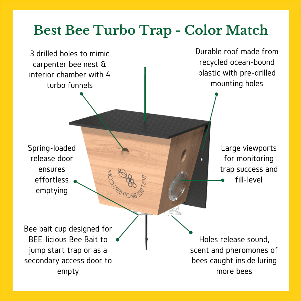 Carpenter Bee Trap F144511