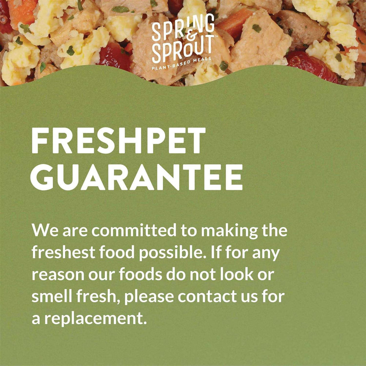 Plant-Based Protein & Cage-Free Egg Recipe Dog Food Q969