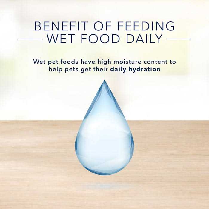 Adult Wet Cat Food X936