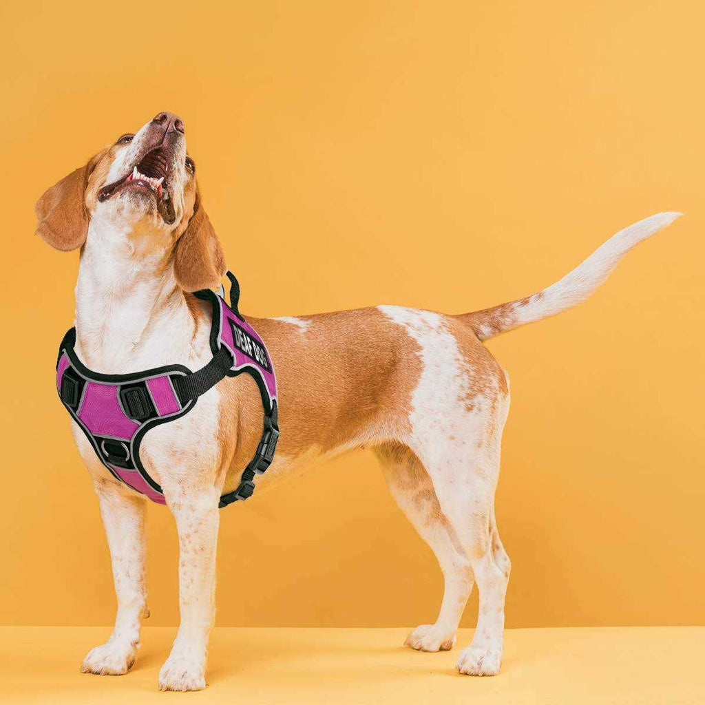 Reflective Soft Comfortable Dog Harness with Dual Buckles K364